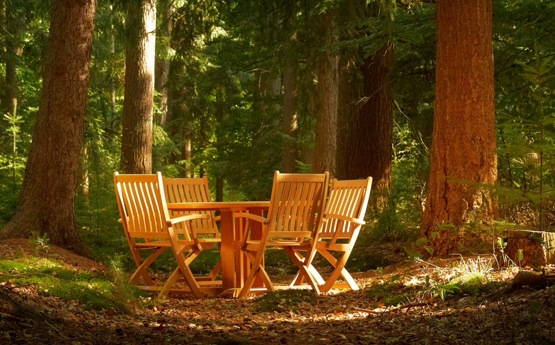 Traditional Teak Victoria Folding stoel armleggers