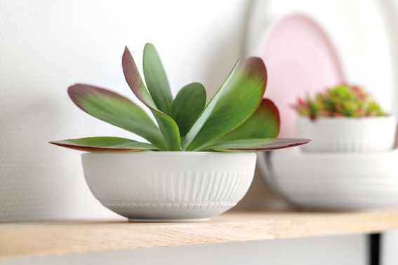 Villeroy & Boch it's my match Bol Blossom 0,85L