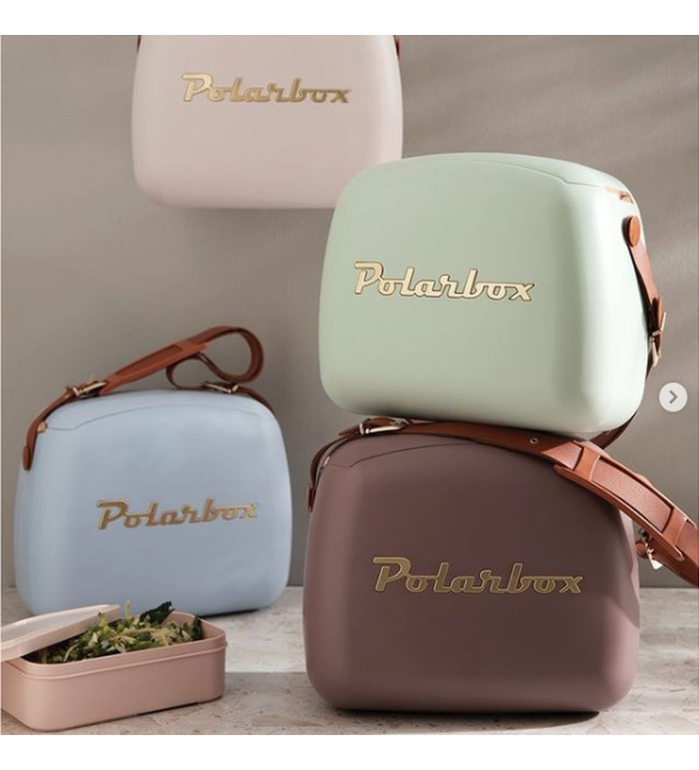 Polarbox Koelbox 6L + 2x Lunchbox  BRUIN