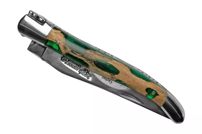 Laguiole en Aubrac Folding Knive Cactus Green Inox