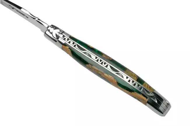 Laguiole en Aubrac Folding Knive Cactus Green Inox