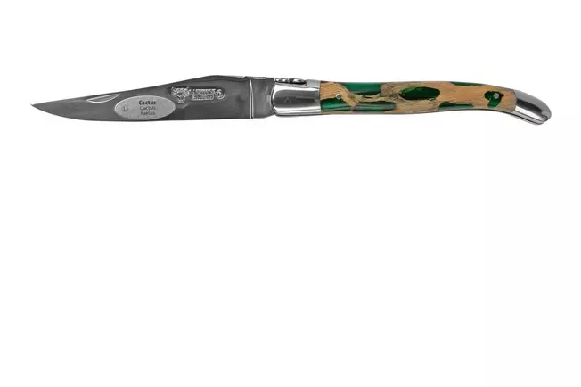 Laguiole en Aubrac Folding Knive Cactus Green Inox