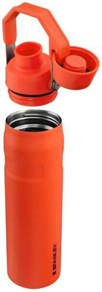 The Aerolight IceFlow Water Bottle Fast Flow 0.6L Tigerlily