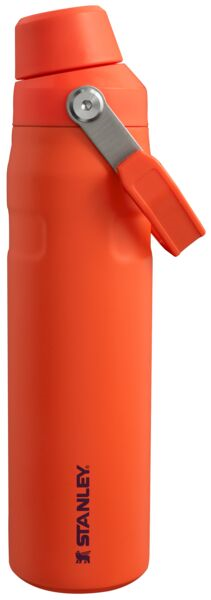 The Aerolight IceFlow Water Bottle Fast Flow 0.6L Tigerlily