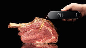 Thermometer digitaal insteek